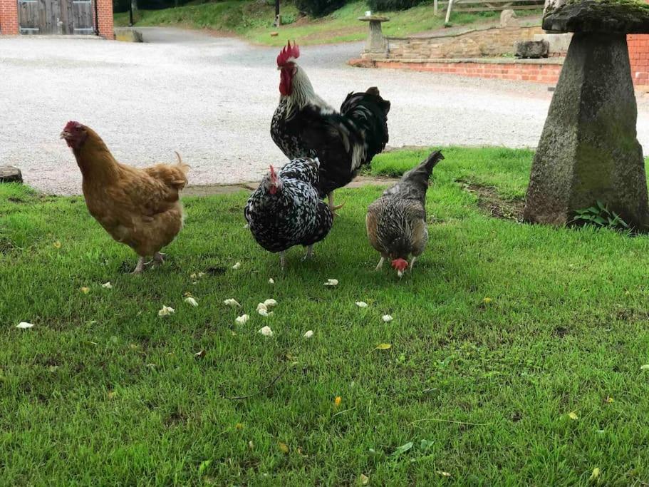 Stunning Rural Apartment, Walking Distance To Three Choirs Vineyard & Restaurant, Gloucestershire Newent Ngoại thất bức ảnh